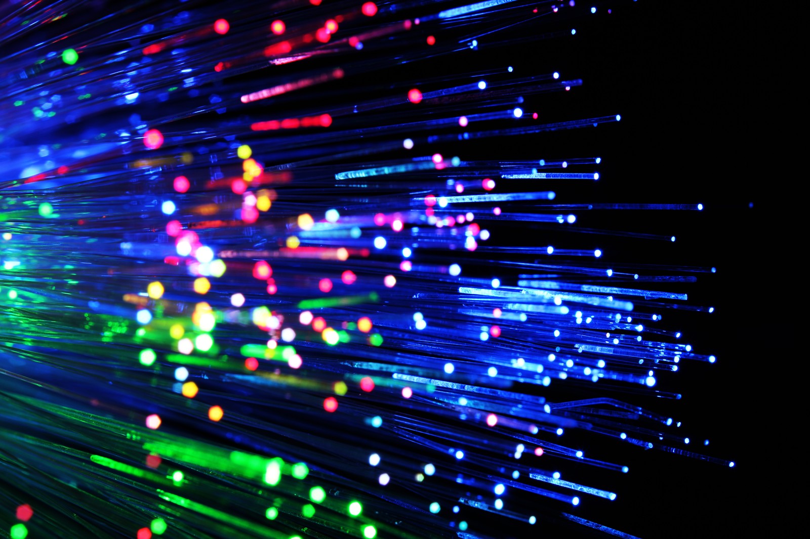 Fiber Optic Cabling Data Voice For Raleigh PD Cable Concepts